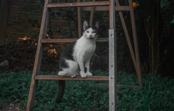 How is the UK automotive sector contributing to carbon reduction goals?