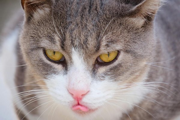 What Challenges Face Emerging UK Tech Startups?